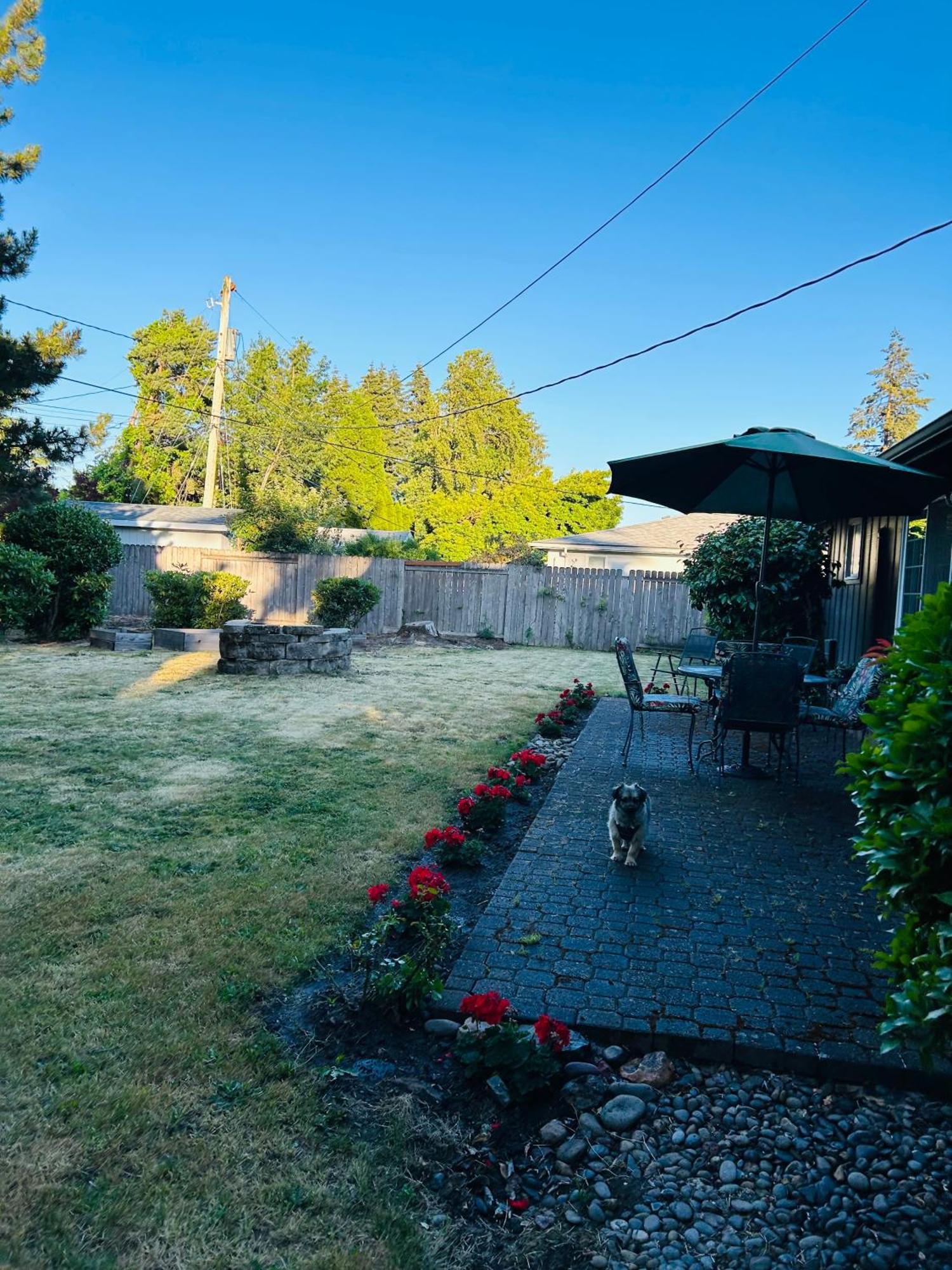 Emerald City 3 Bedroom 1 Bath Home ユージーン エクステリア 写真