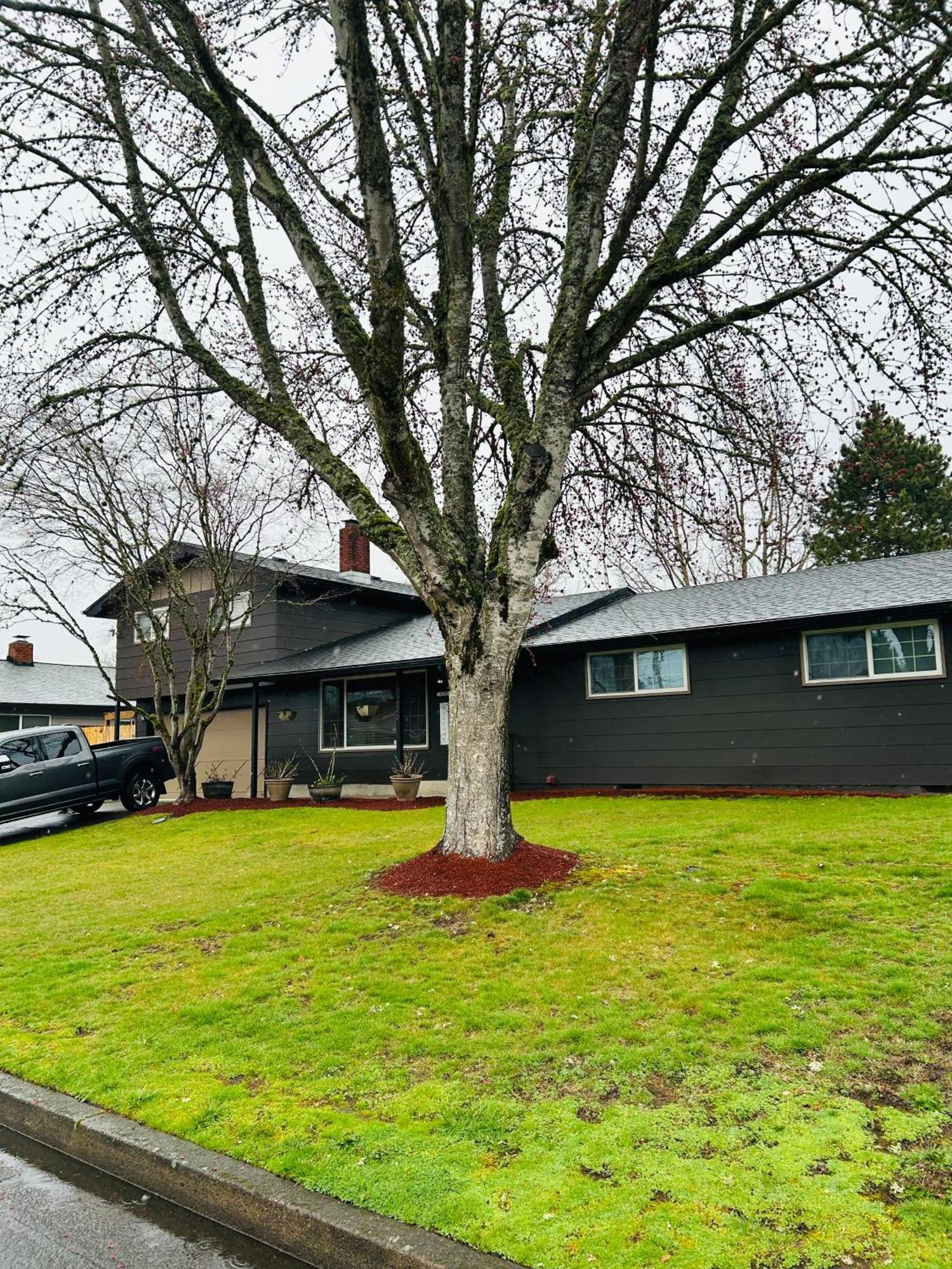 Emerald City 3 Bedroom 1 Bath Home ユージーン エクステリア 写真